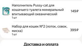 Что идет после статуса 