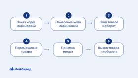 Что сканировать при продаже маркированного товара в Телемакс