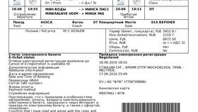 Что такое электронная регистрация на поезд РЖД в Телемакс