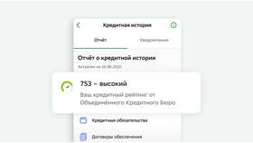 Что значит общая сумма кредита в Телемакс