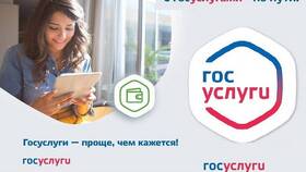 Как оформить путинские выплаты через Госуслуги в Телемакс