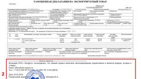 Как оформить таможенную декларацию в Телемакс