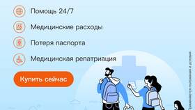 Как отследить получение визы в Телемакс