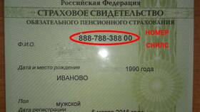 Как получить деньги со СНИЛС: законные способы в Телемакс