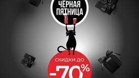 Как работают бонусы Zenden в Телемакс