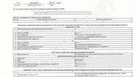 Как узнать коды ОКВЭД организации по ИНН в Телемакс