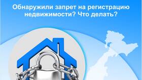 Как узнать о запрете на регистрационные действия в Телемакс