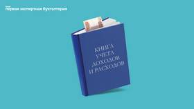 Как вести книгу расходов ИП: подробная инструкция в Телемакс