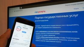 Как заказать справку ГИБДД через Госуслуги в Телемакс