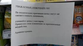 Причины отсутствия магнитиков в магазинах «Магнит» в Телемакс