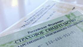 Сообщил номер СНИЛС: что делать и какие риски в Телемакс