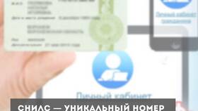 Зачем СНИЛС иностранному гражданину в Телемакс